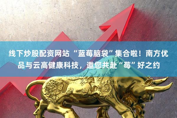 线下炒股配资网站 “蓝莓脑袋”集合啦！南方优品与云高健康科技，邀您共赴“莓”好之约