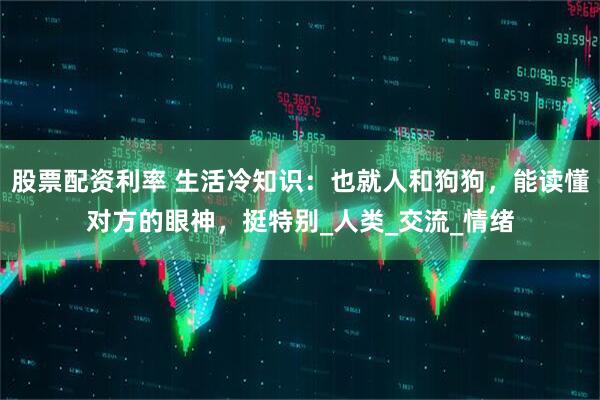 股票配资利率 生活冷知识：也就人和狗狗，能读懂对方的眼神，挺特别_人类_交流_情绪
