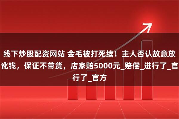 线下炒股配资网站 金毛被打死续！主人否认故意放狗讹钱，保证不带货，店家赔5000元_赔偿_进行了_官方