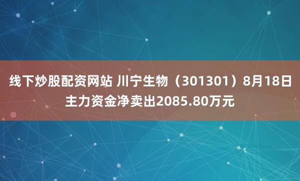 线下炒股配资网站 川宁生物（301301）8月18日主力资金净卖出2085.80万元